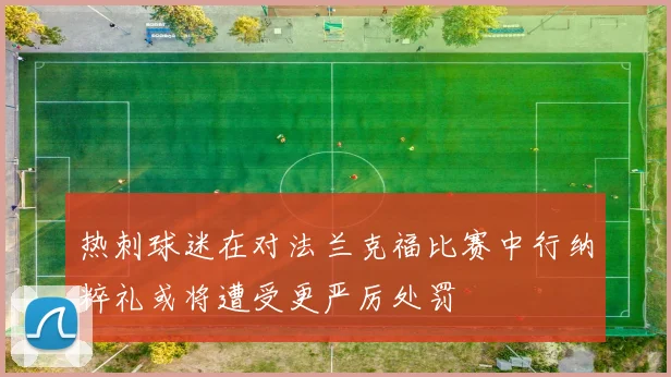 热刺球迷在对法兰克福比赛中行纳粹礼或将遭受更严厉处罚