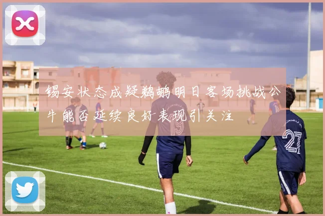 锡安状态成疑鹈鹕明日客场挑战公牛能否延续良好表现引关注