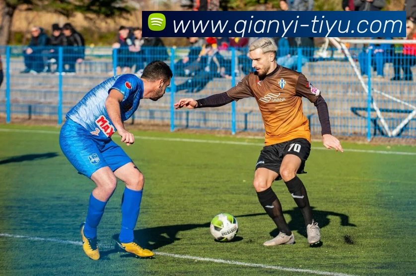 千亿体育平台生态图