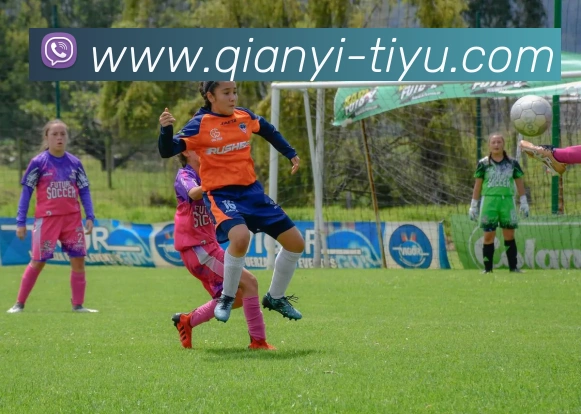 千亿体育APP 封面图